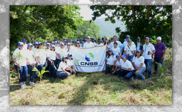 CNSS realiza jornada de reforestación en Bonao
