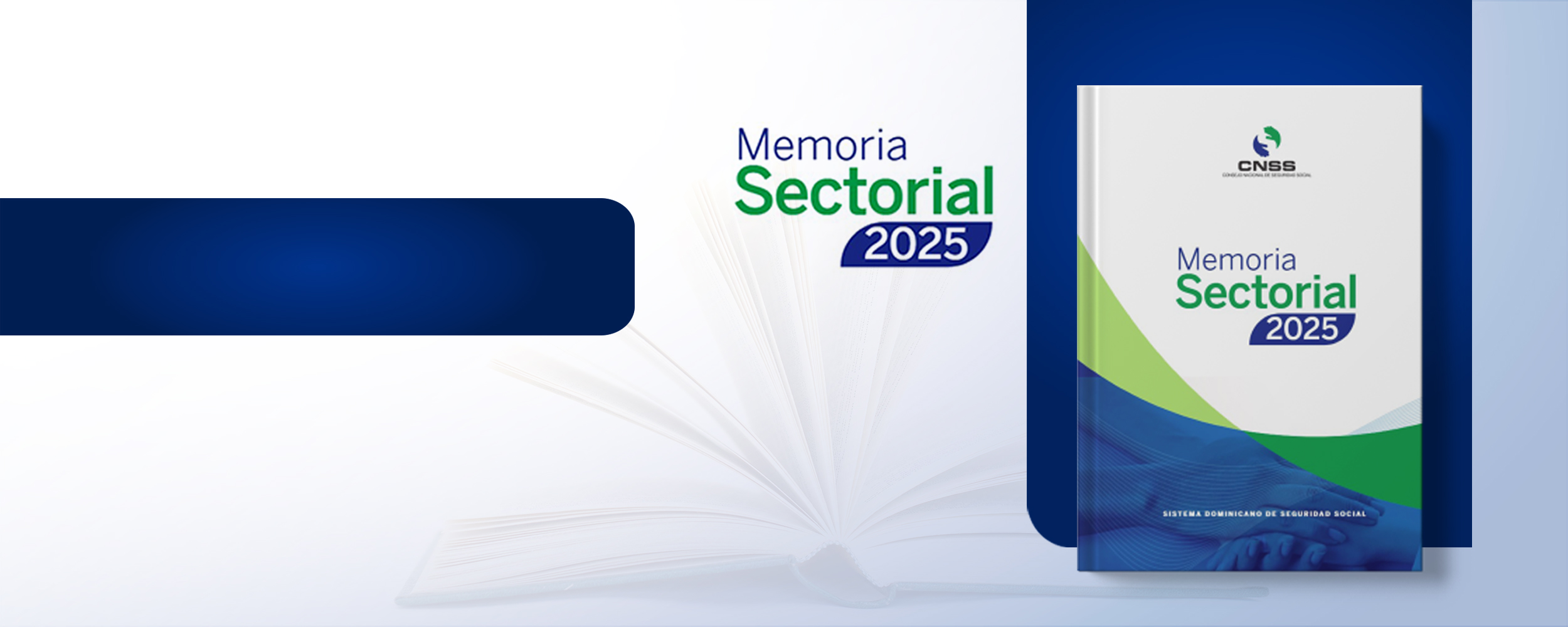 Memoria Sectorial 2025 del CNSS