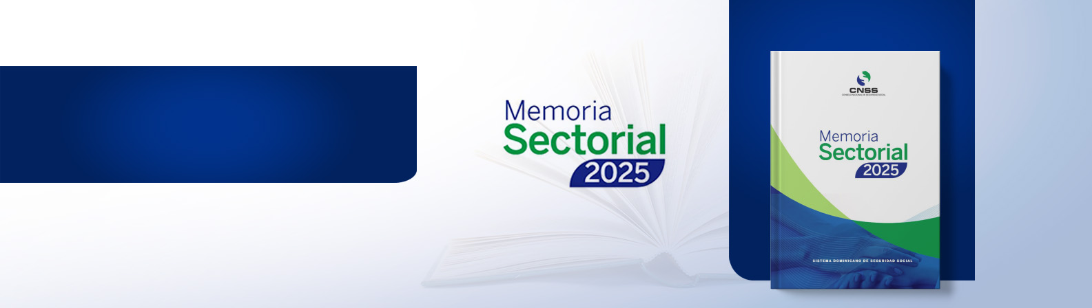 Memoria Sectorial 2025 del CNSS